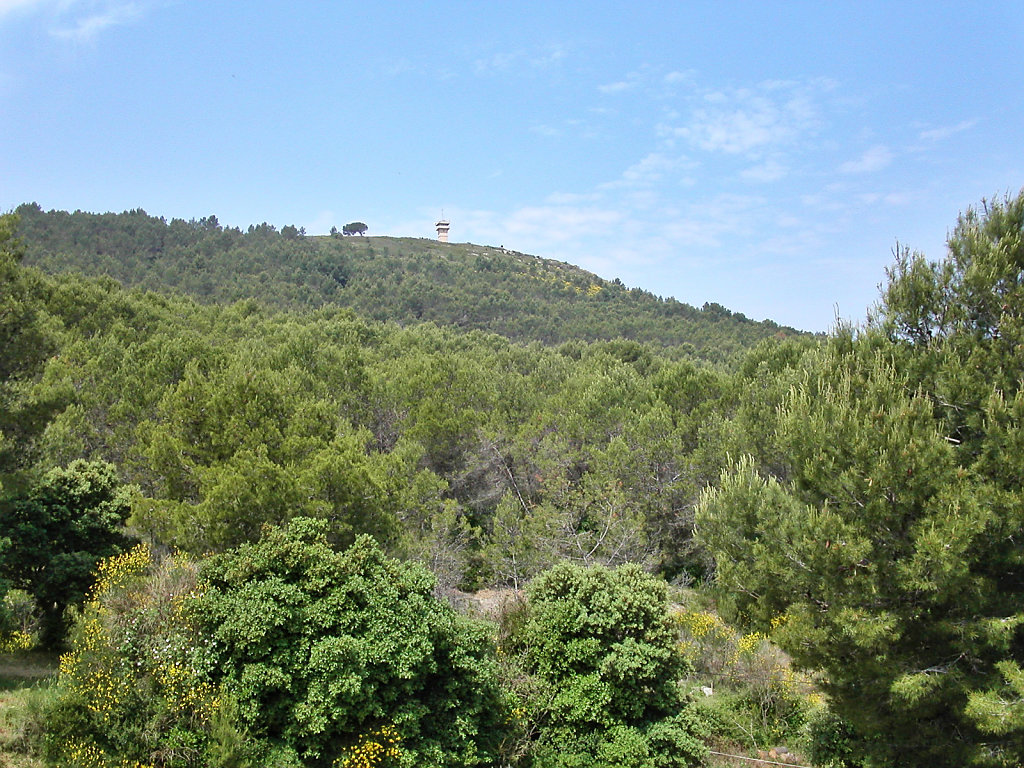 Les collines de la Vaunage