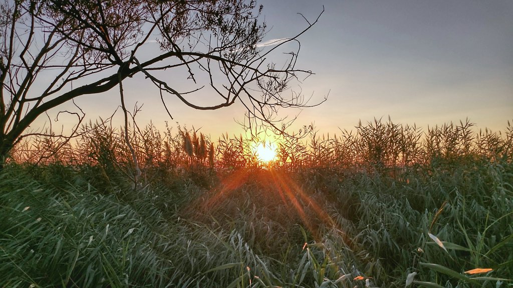 Couché de soleil au Grau-Du-Roi