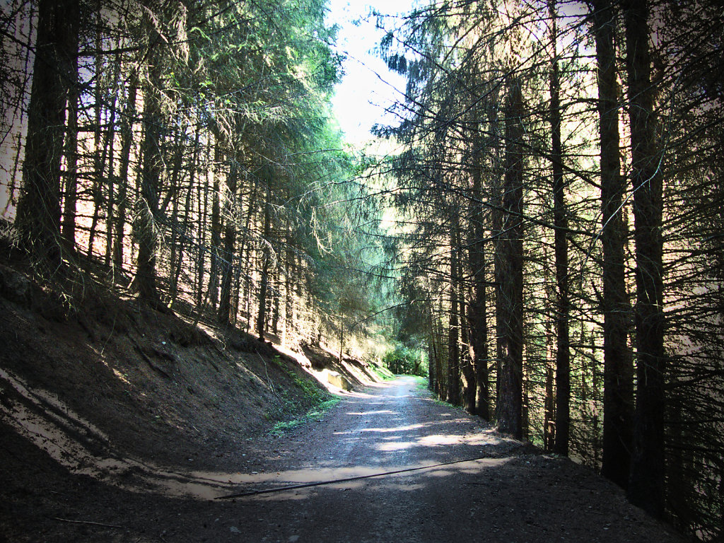 ... pour s'arracher des sentiers obscurs et rejoindre le chemin de la lumière.